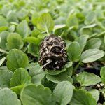 WhatsApp Image 2025-08-26 at 21.28.14