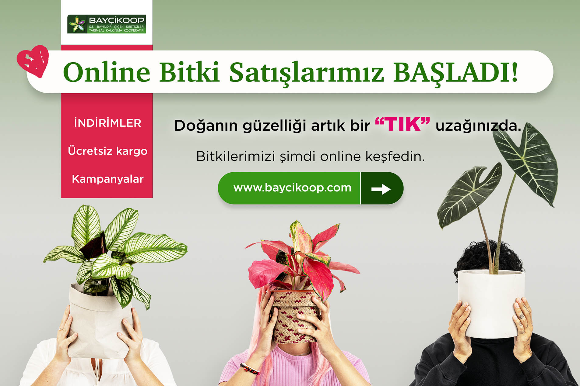 Online Bitki Satışı